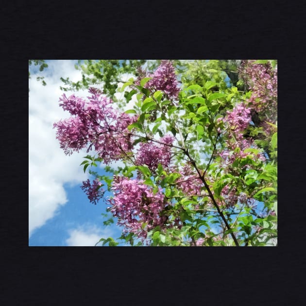 Lilacs and Clouds by SusanSavad